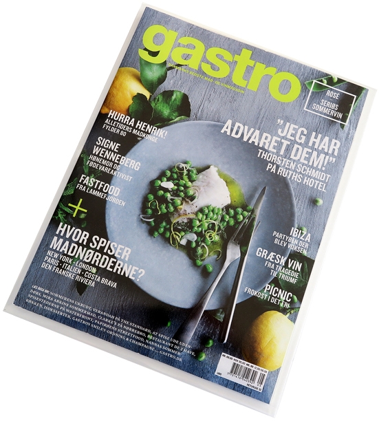Magazine protector